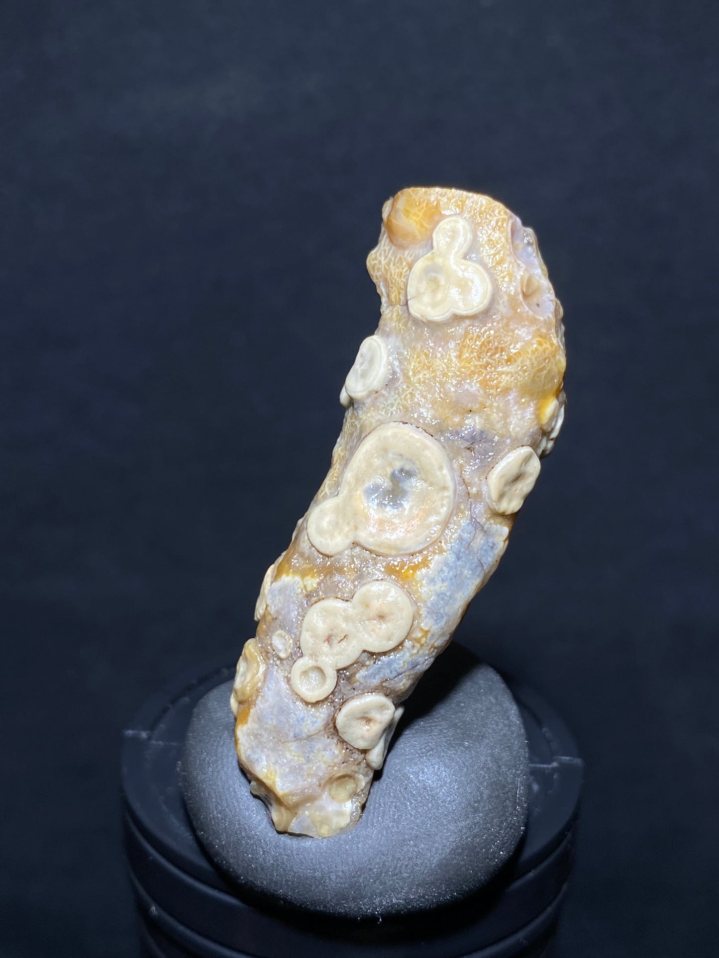 (1030)Alxa Desert Gobi eye Agate rough nature stone, face-like agate,Natural Color Raw Stone from Inner Mongolia.