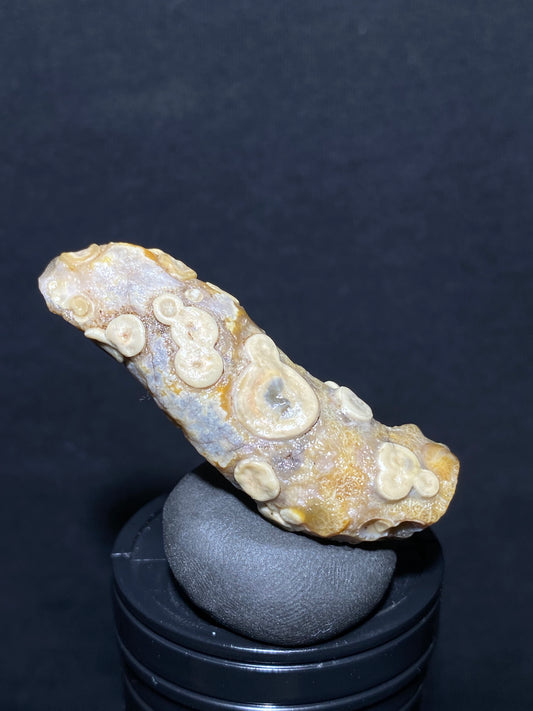 (1030)Alxa Desert Gobi eye Agate rough nature stone, face-like agate,Natural Color Raw Stone from Inner Mongolia.