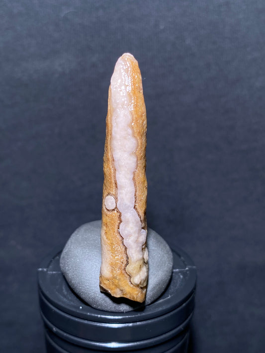 (1031)Alxa Desert Gobi eye Agate rough nature stone, Natural Color Raw Stone from Inner Mongolia.