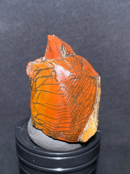 (1033)Alxa Gobi Desert vein stone, red stone with black veins, rough stone from Mongolia.