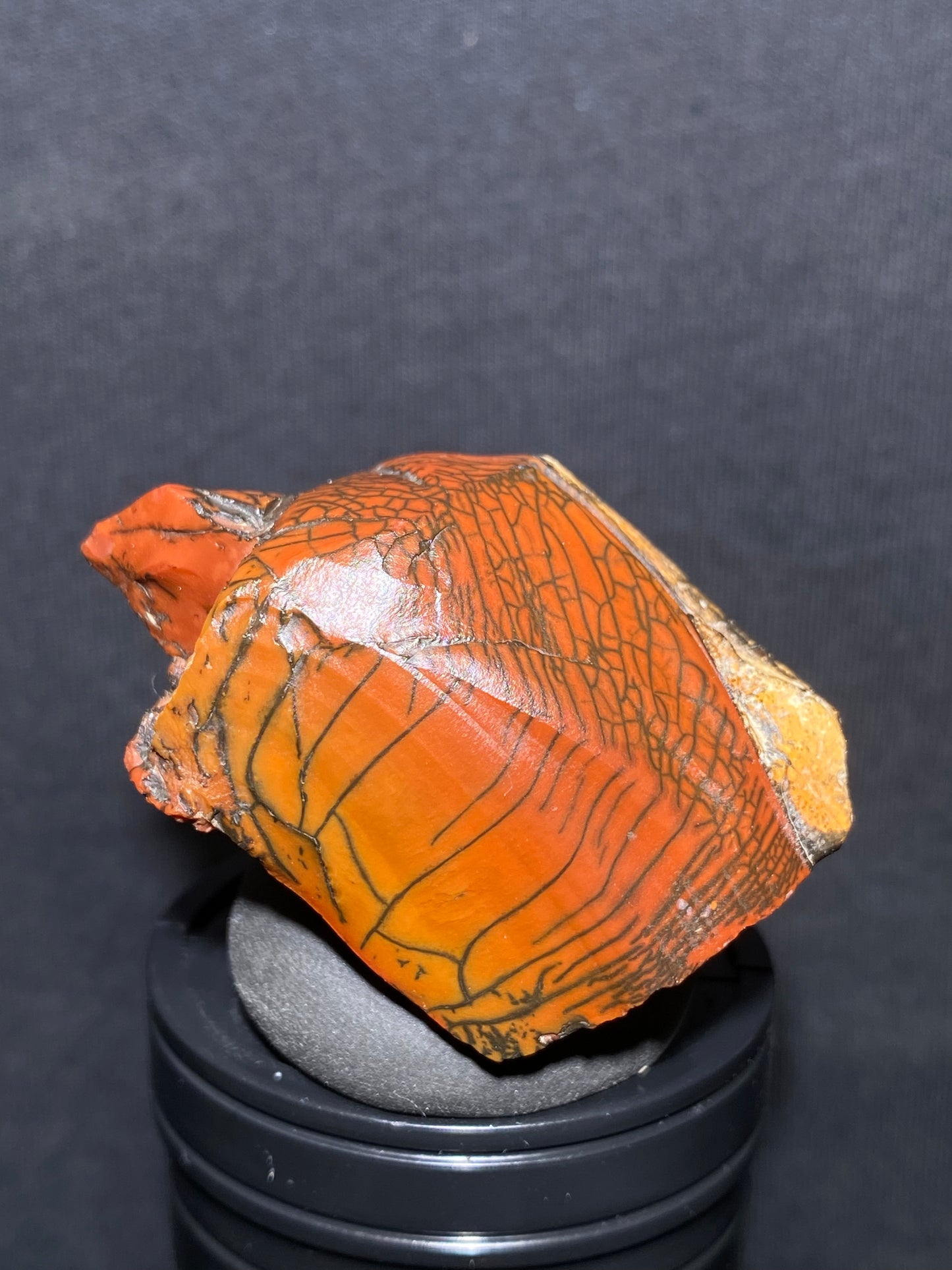 (1033)Alxa Gobi Desert vein stone, red stone with black veins, rough stone from Mongolia.