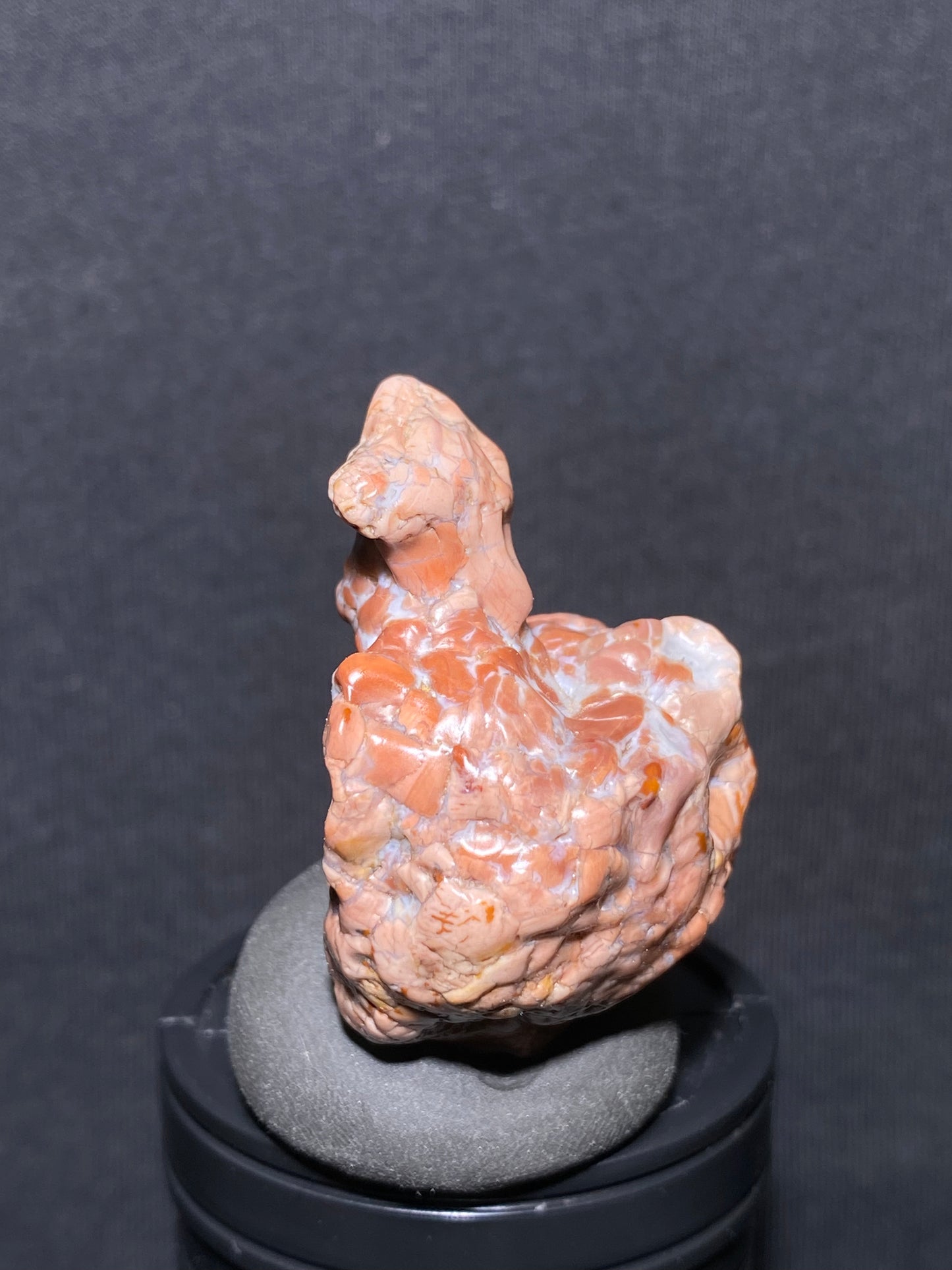 (1036)Alxa Desert Gobi colorful Agate rough nature stone, Animal like agate, Natural Color Raw Stone from Inner Mongolia.