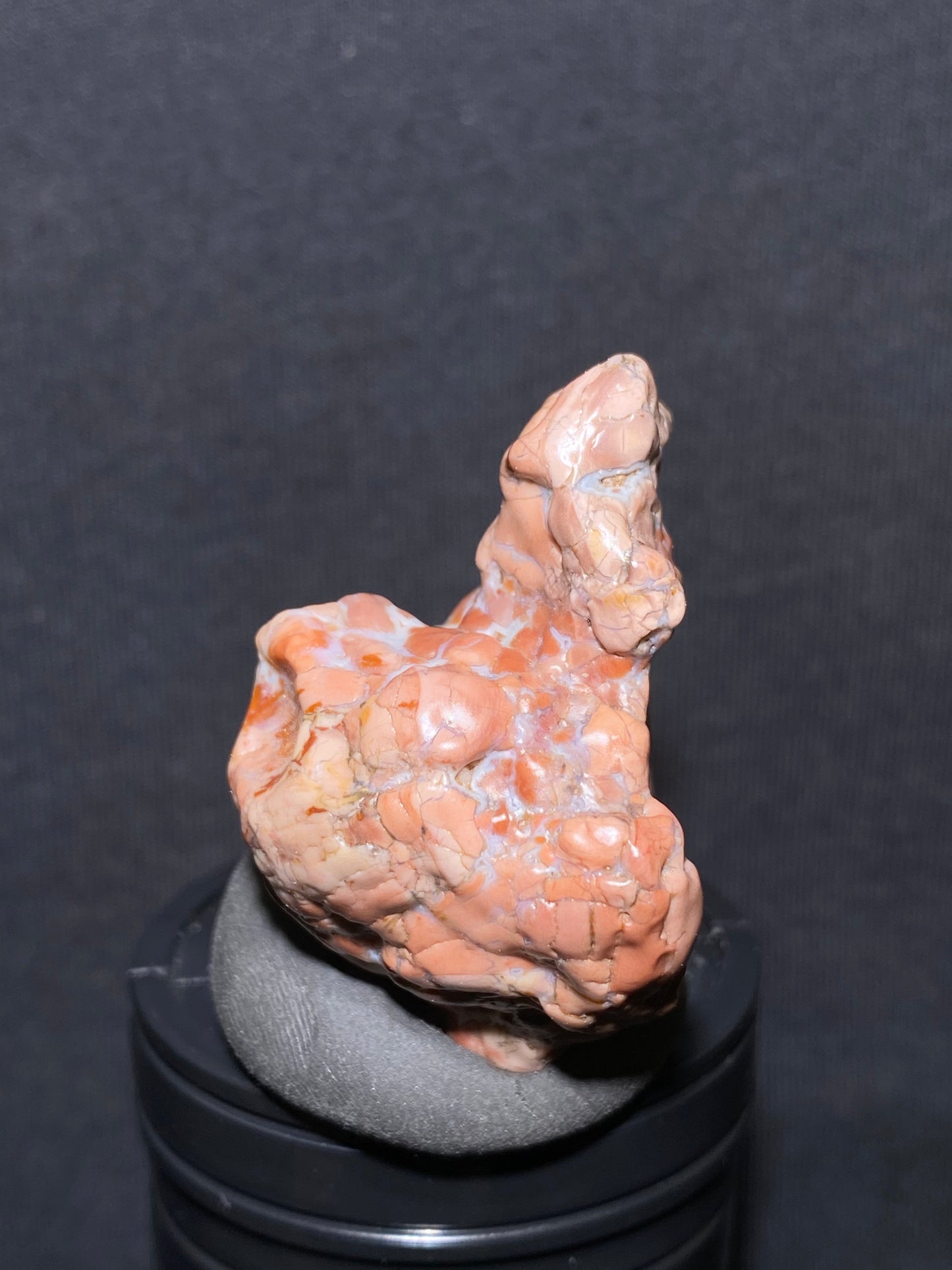 (1036)Alxa Desert Gobi colorful Agate rough nature stone, Animal like agate, Natural Color Raw Stone from Inner Mongolia.