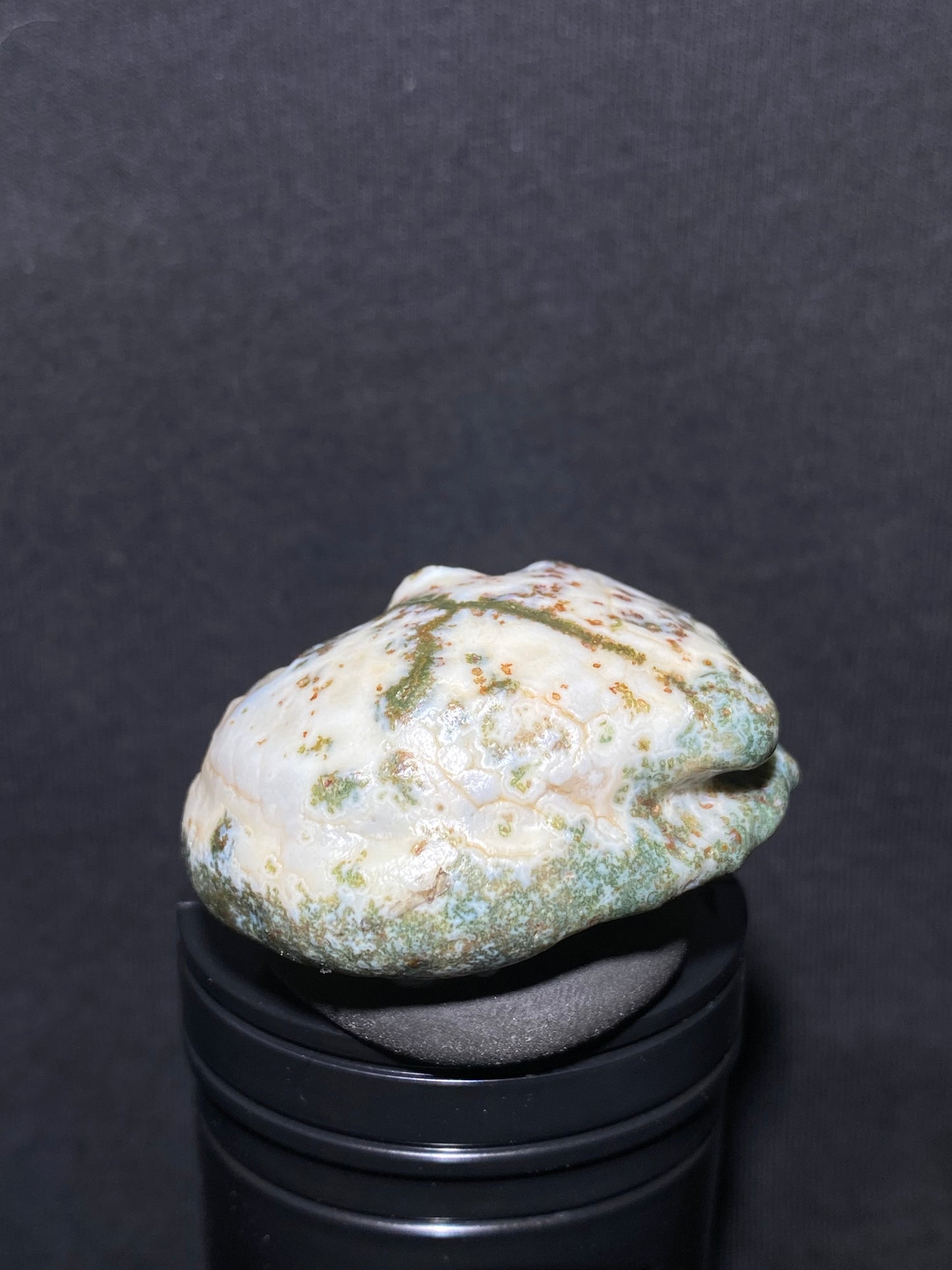 (1037)Alxa Desert Gobi moss Agate, rough nature stone, Natural Color Raw Stone from Inner Mongolia.