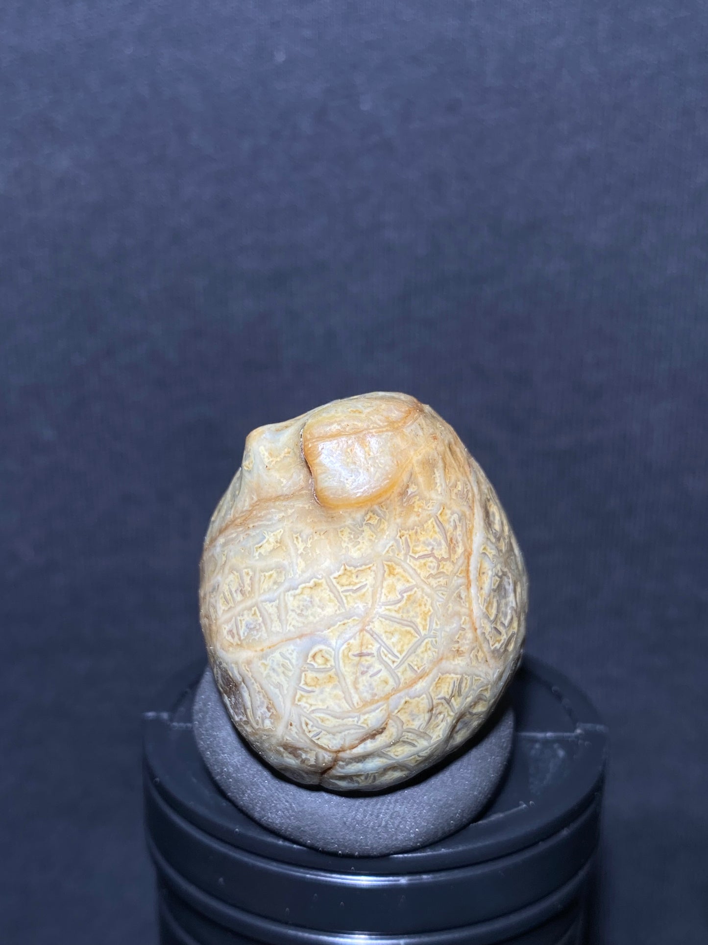 (1038)Alxa Desert Gobi vein Agate rough nature stone, Natural Color Raw Stone from Inner Mongolia.