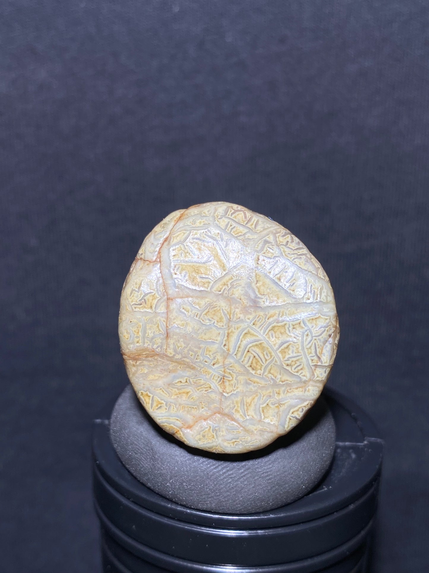 (1038)Alxa Desert Gobi vein Agate rough nature stone, Natural Color Raw Stone from Inner Mongolia.