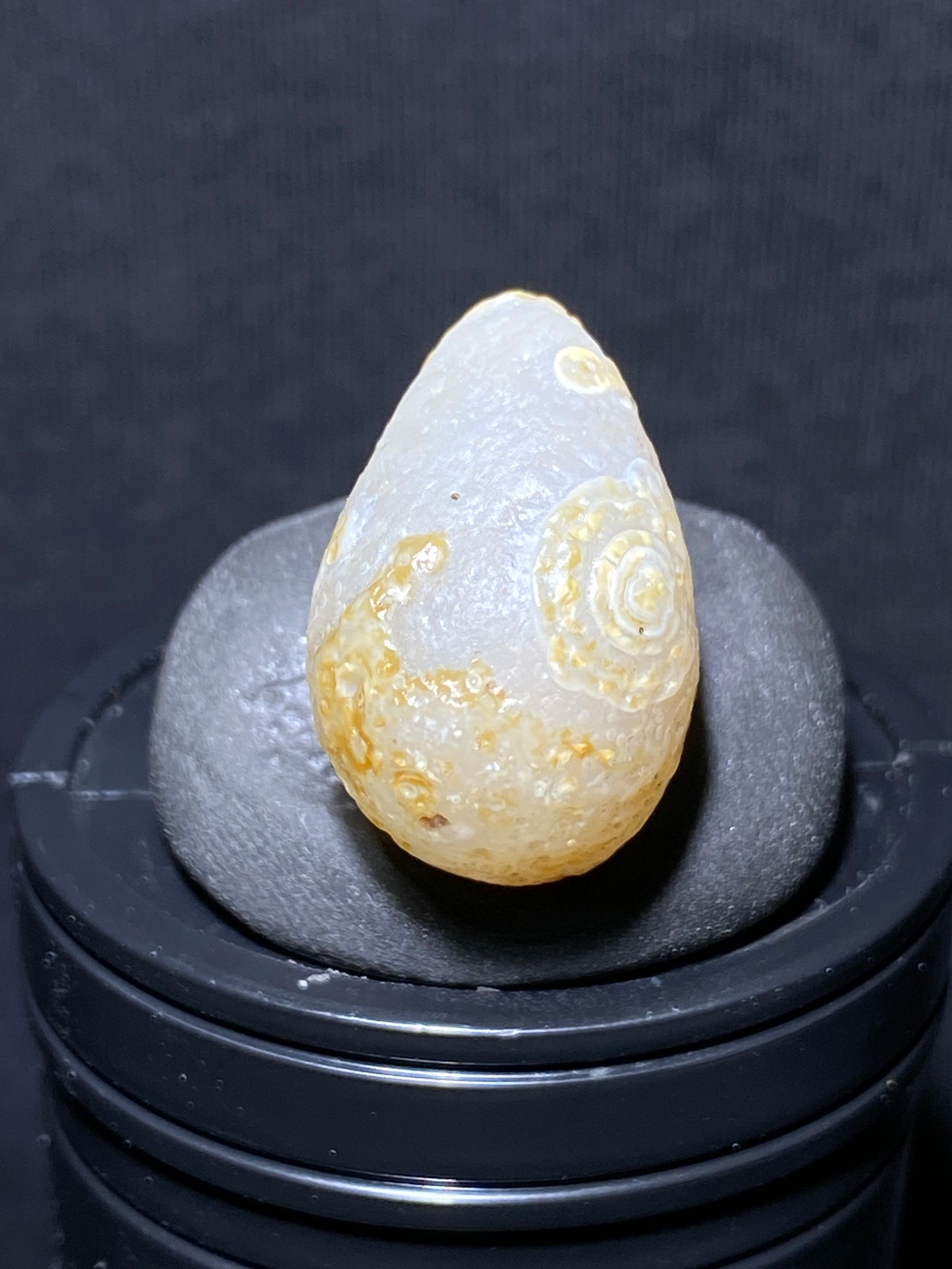 (1060)Alxa Desert Gobi Agate, fat fish-like rough nature stone,Natural Color Raw Stone from Inner Mongolia.