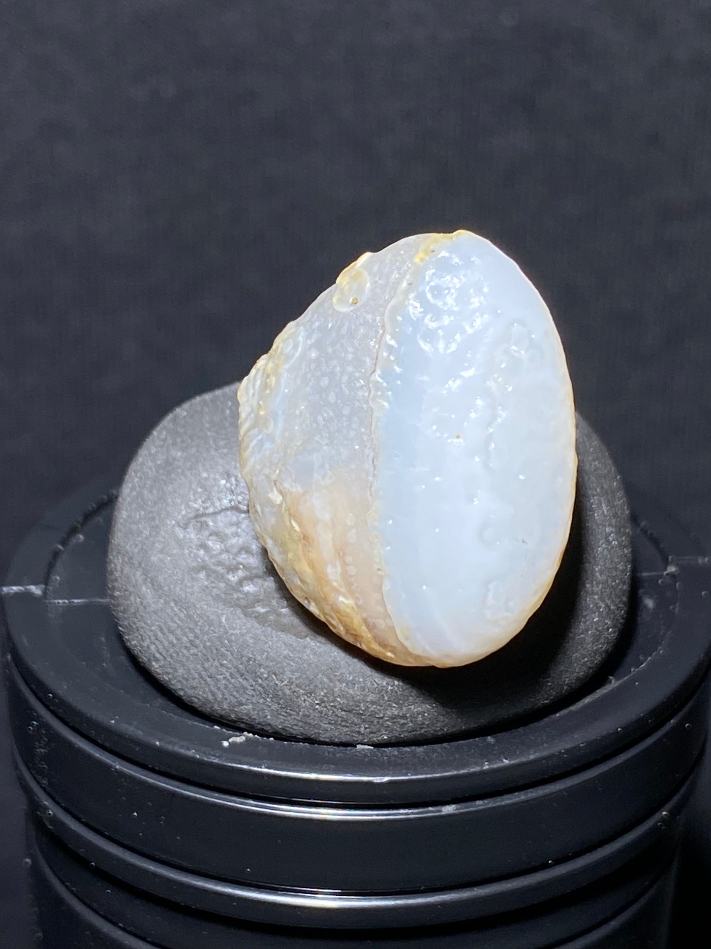 (1060)Alxa Desert Gobi Agate, fat fish-like rough nature stone,Natural Color Raw Stone from Inner Mongolia.