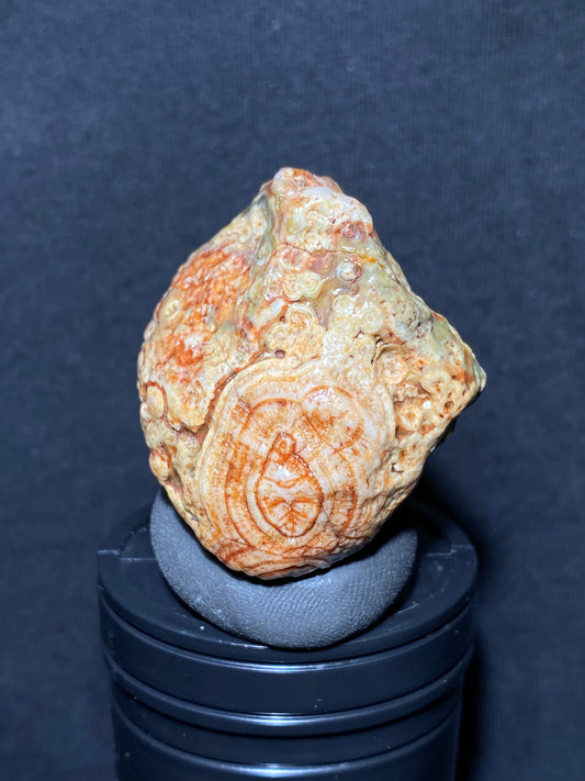 (1068)Alxa Desert Gobi eye Agate, rough nature stone,Natural Color Raw Stone from Inner Mongolia.