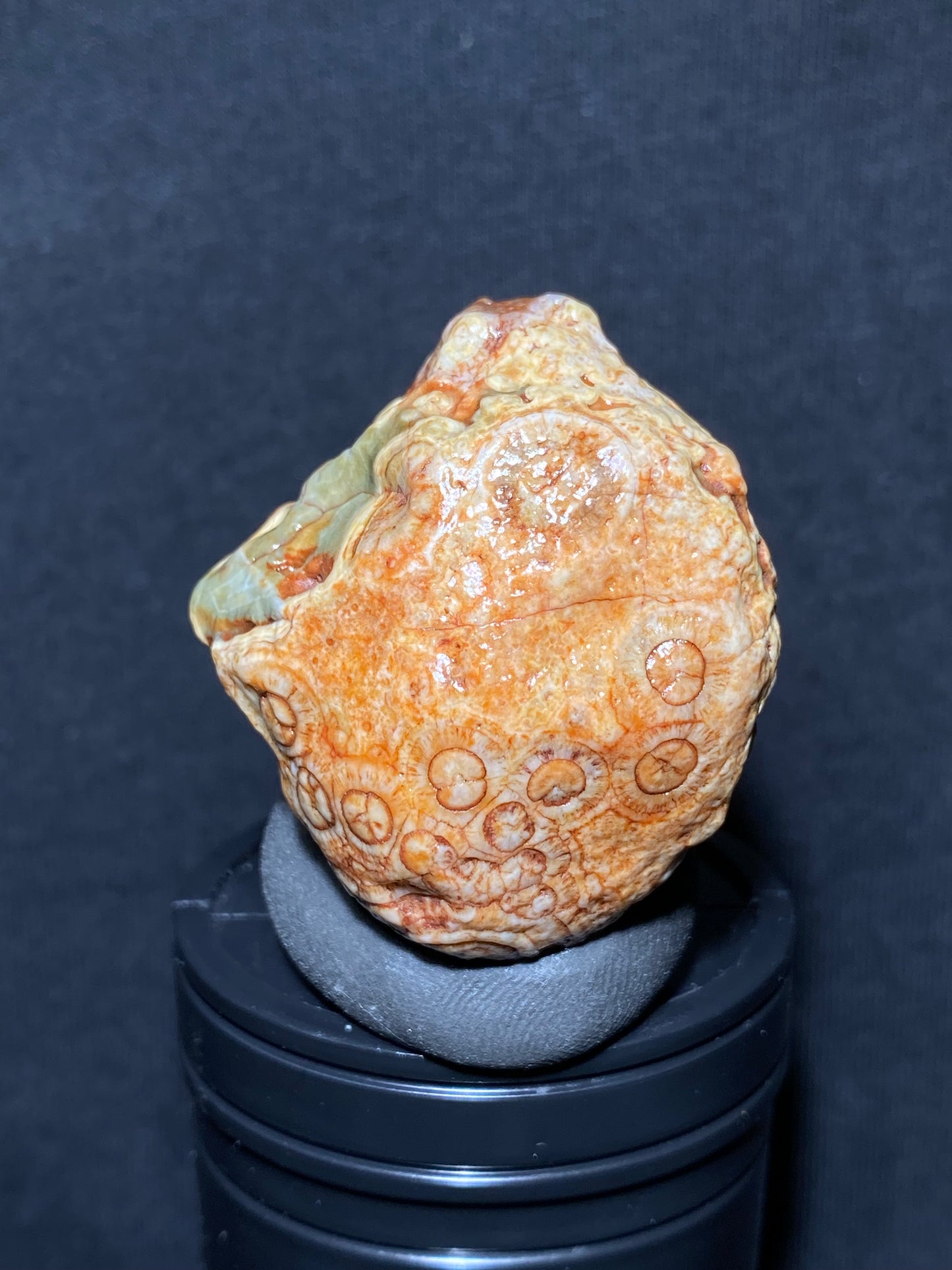 (1068)Alxa Desert Gobi eye Agate, rough nature stone,Natural Color Raw Stone from Inner Mongolia.