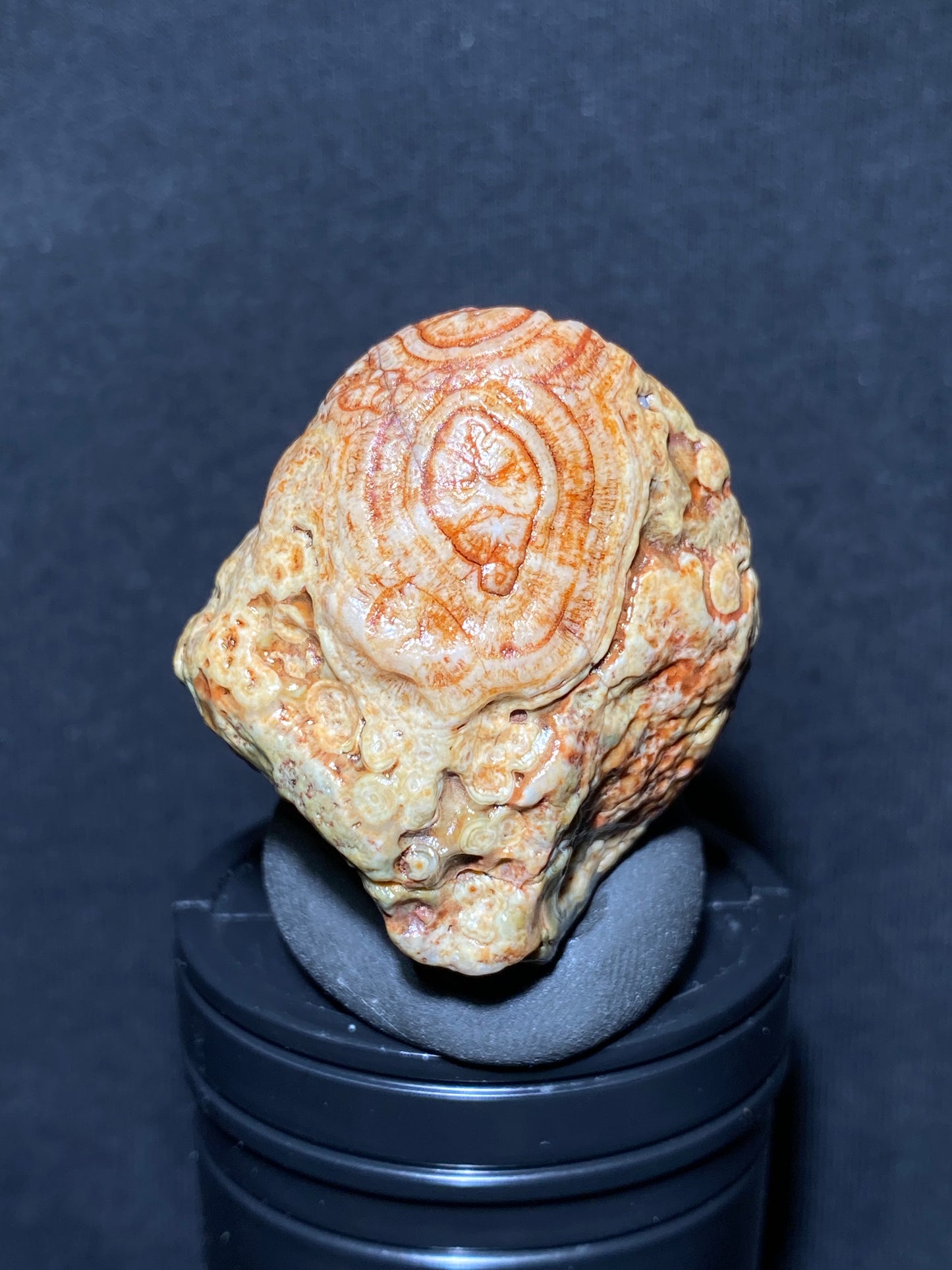 (1068)Alxa Desert Gobi eye Agate, rough nature stone,Natural Color Raw Stone from Inner Mongolia.