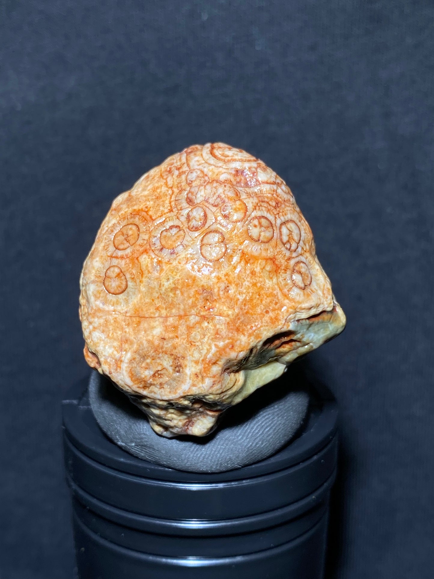 (1068)Alxa Desert Gobi eye Agate, rough nature stone,Natural Color Raw Stone from Inner Mongolia.