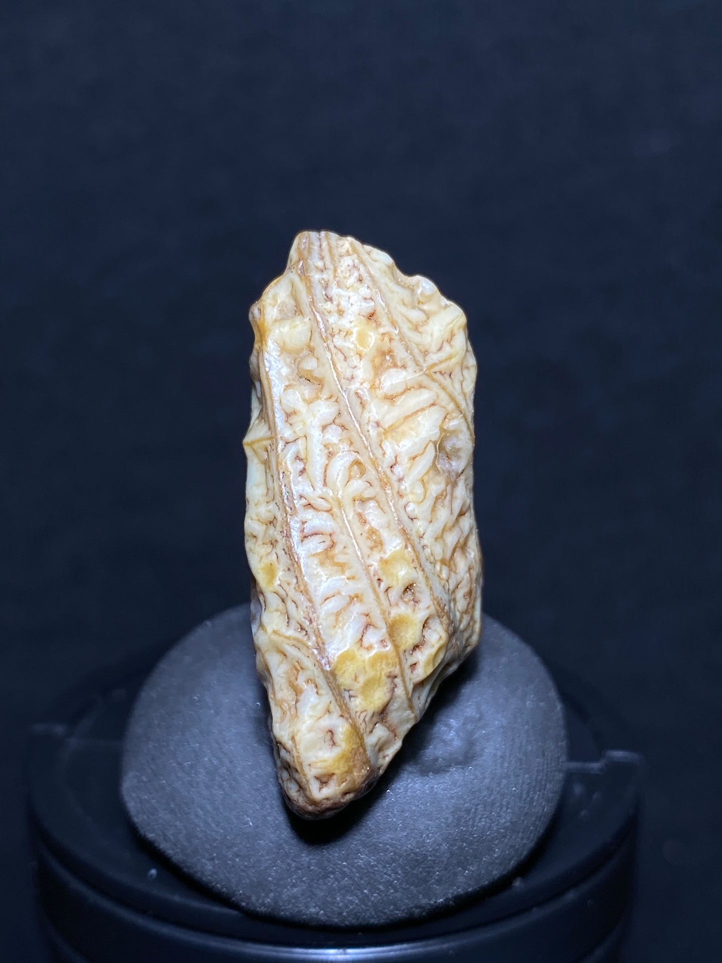 (1080)Alxa Gobi Desert vein Agate, rough nature stone,Natural Color Raw Stone from Inner Mongolia.