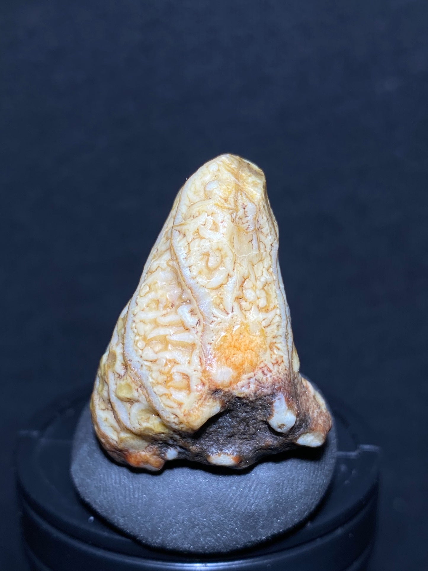 (1080)Alxa Gobi Desert vein Agate, rough nature stone,Natural Color Raw Stone from Inner Mongolia.