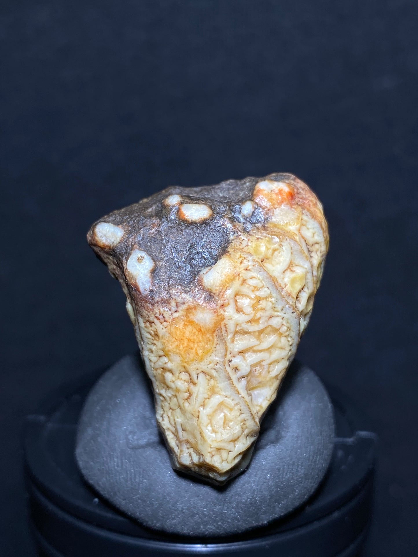 (1080)Alxa Gobi Desert vein Agate, rough nature stone,Natural Color Raw Stone from Inner Mongolia.