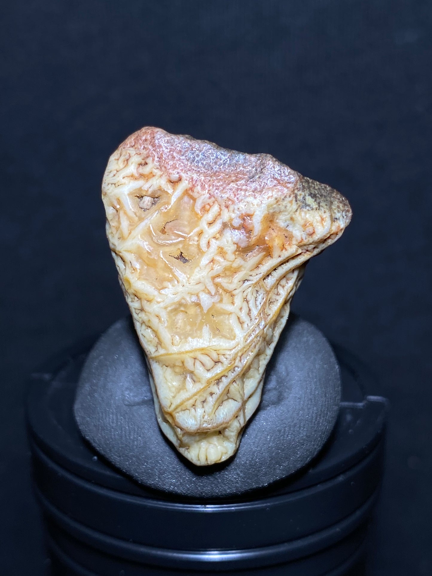 (1080)Alxa Gobi Desert vein Agate, rough nature stone,Natural Color Raw Stone from Inner Mongolia.