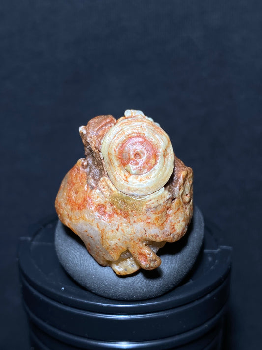 (1081)Alxa Gobi Desert eye Agate, rough nature eye stone,Natural Color Raw Stone from Inner Mongolia.