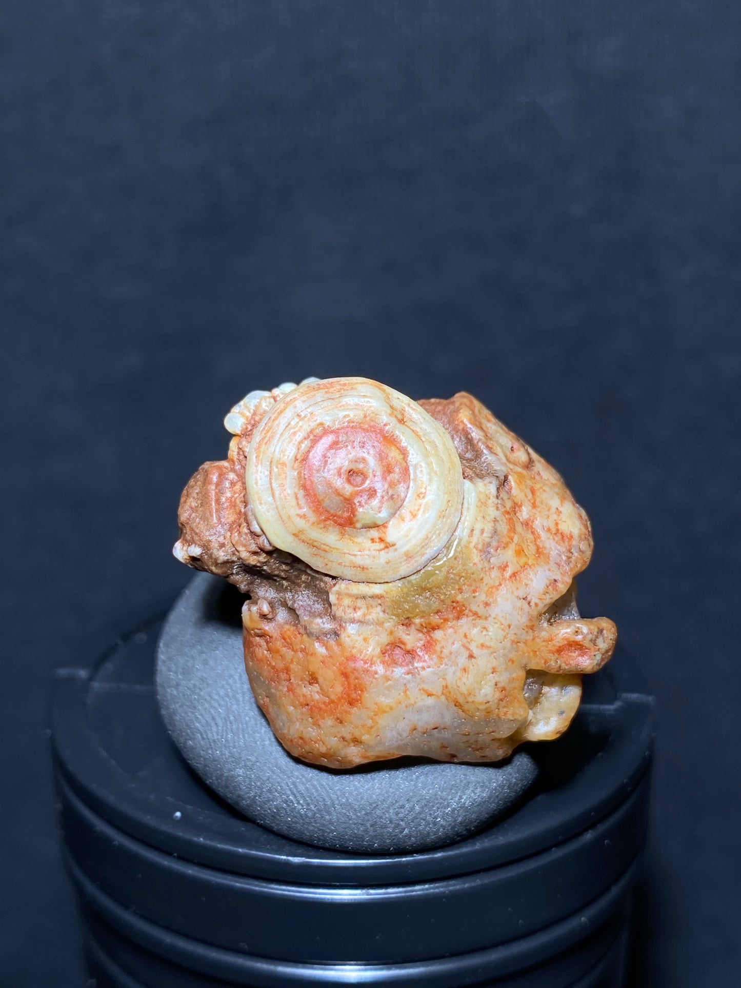 (1081)Alxa Gobi Desert eye Agate, rough nature eye stone,Natural Color Raw Stone from Inner Mongolia.