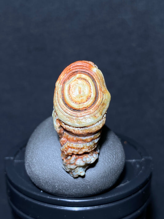 (1083)Alxa Gobi Desert red eye Agate, rough nature stone,Natural Color Raw Stone from Inner Mongolia.