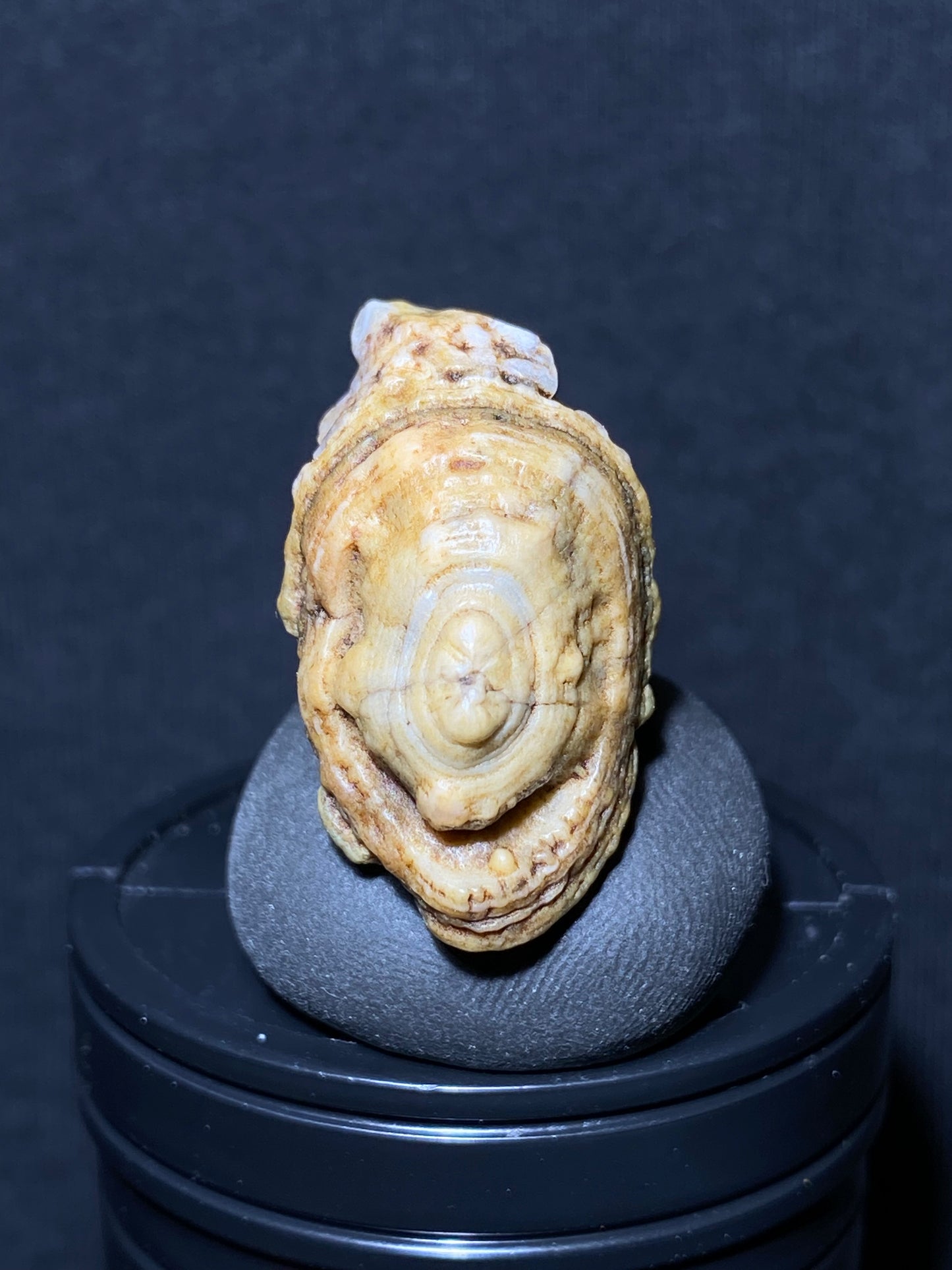 (1085)Alxa Gobi Desert eye Agate, rough nature stone,Natural Color Raw Stone from Inner Mongolia.