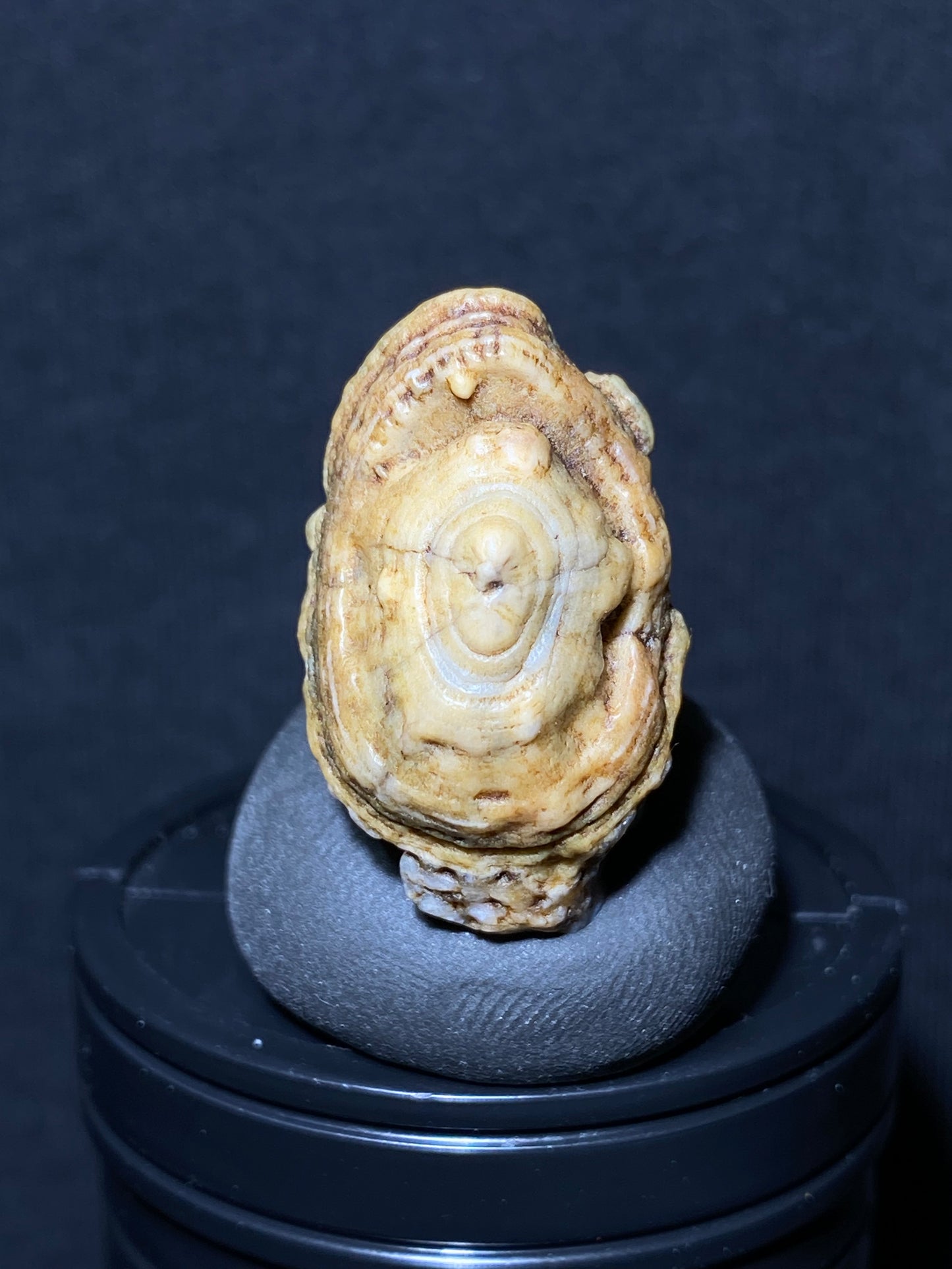 (1085)Alxa Gobi Desert eye Agate, rough nature stone,Natural Color Raw Stone from Inner Mongolia.