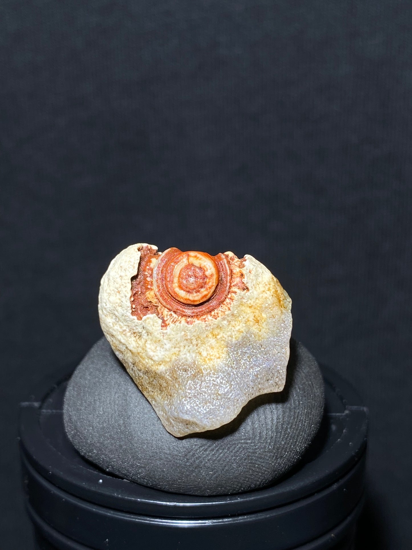 (1087)Alxa Gobi Desert red eye Agate, rough nature stone,Natural Color Raw Stone from Inner Mongolia.