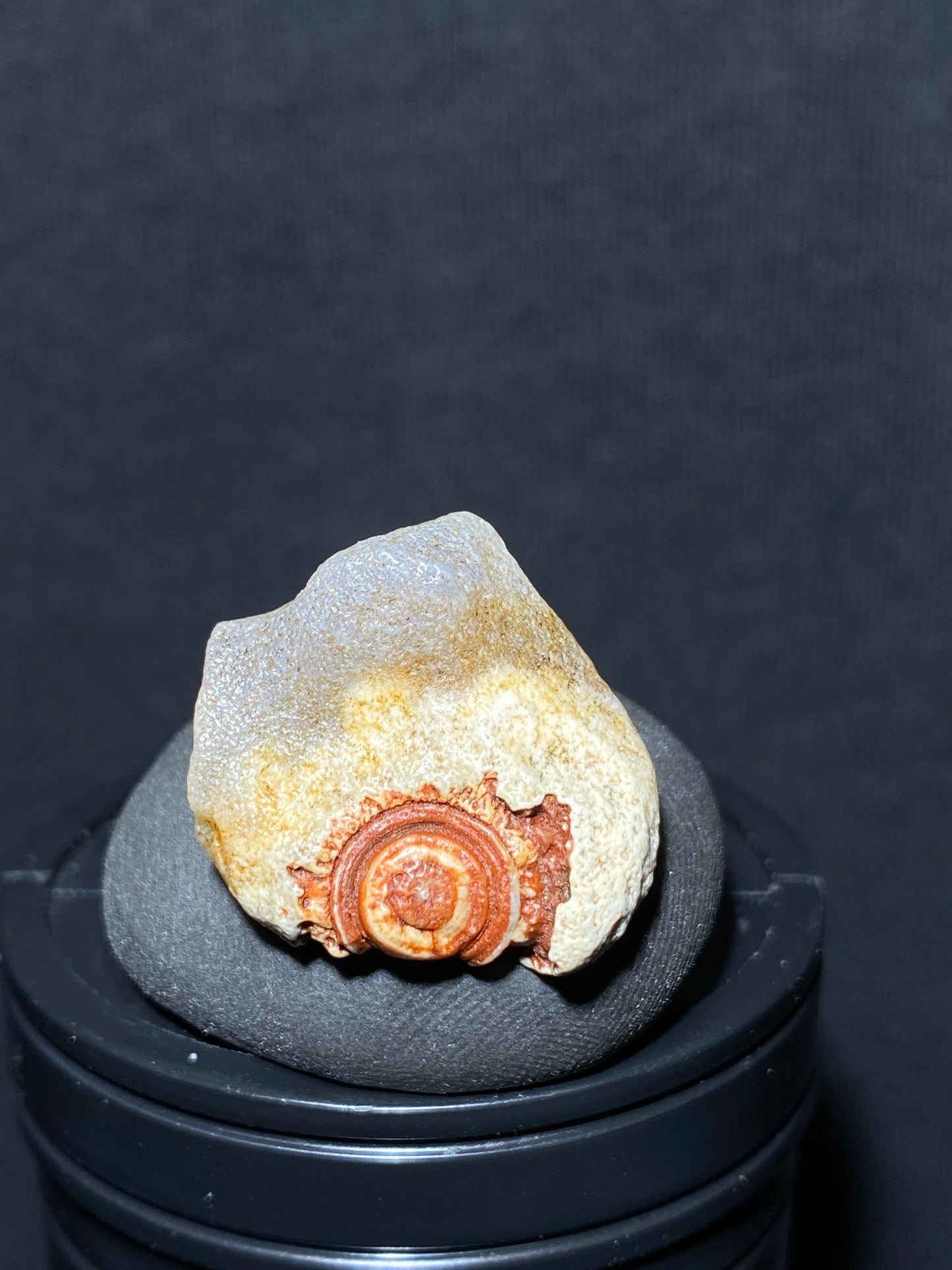 (1087)Alxa Gobi Desert red eye Agate, rough nature stone,Natural Color Raw Stone from Inner Mongolia.