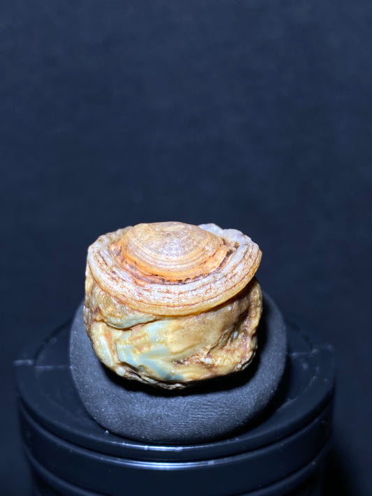 (1088)Alxa Gobi Desert Agate, rough nature stone,Natural Color Raw Stone from Inner Mongolia.