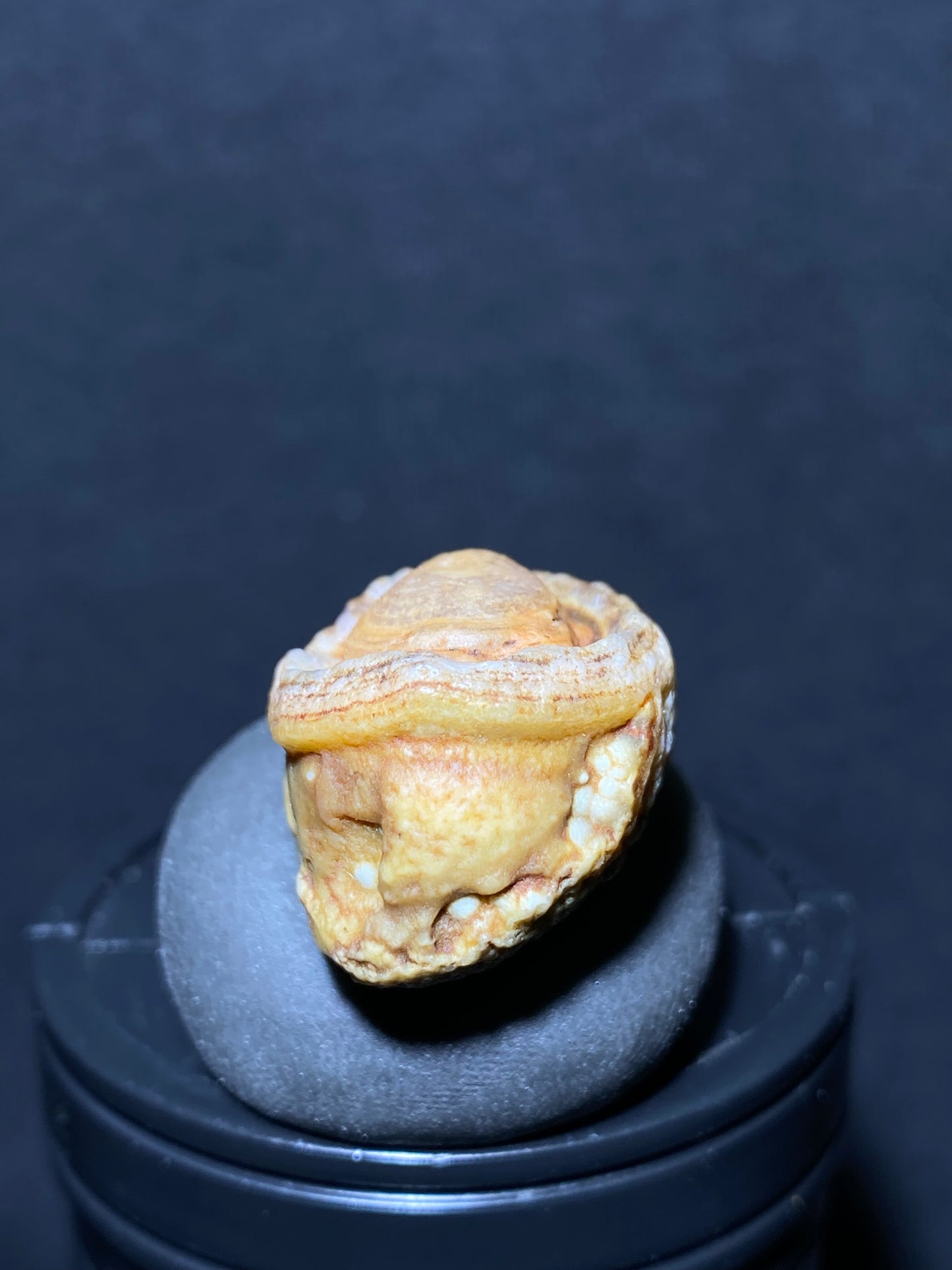 (1088)Alxa Gobi Desert Agate, rough nature stone,Natural Color Raw Stone from Inner Mongolia.