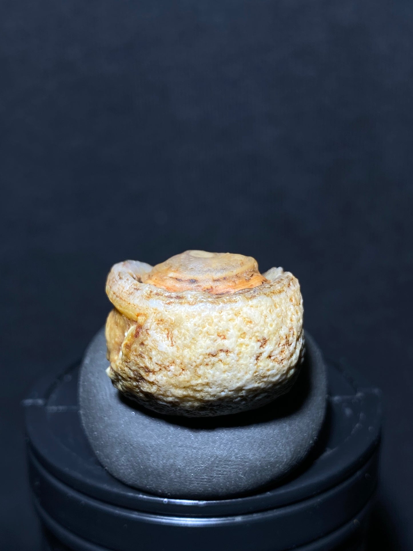 (1088)Alxa Gobi Desert Agate, rough nature stone,Natural Color Raw Stone from Inner Mongolia.