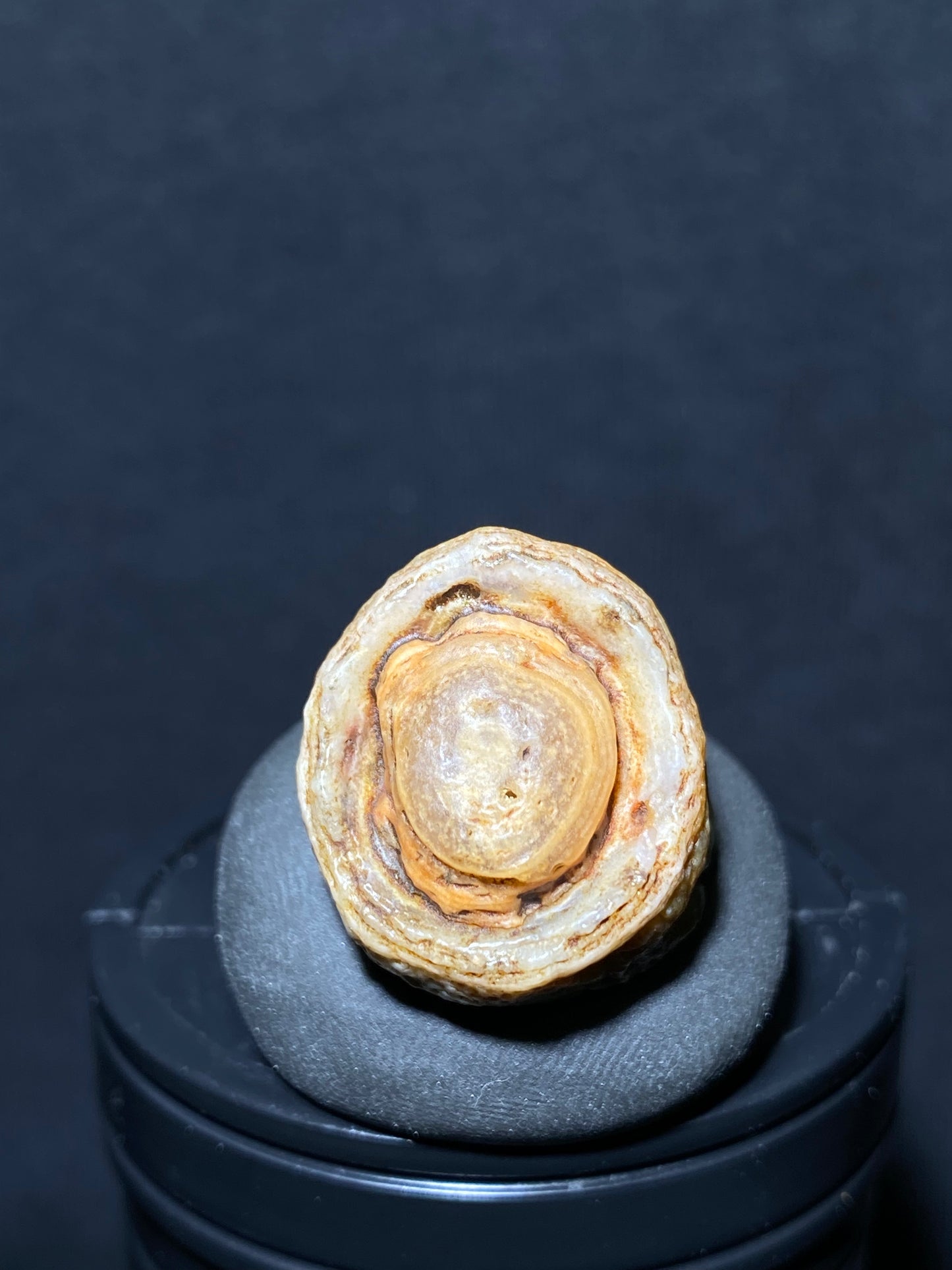 (1088)Alxa Gobi Desert Agate, rough nature stone,Natural Color Raw Stone from Inner Mongolia.