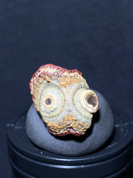 (1089)Alxa Gobi Desert red eye Agate, rough nature stone,Natural Color Raw Stone from Inner Mongolia.