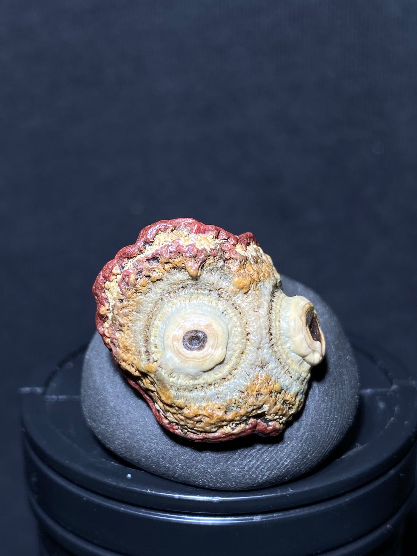 (1089)Alxa Gobi Desert red eye Agate, rough nature stone,Natural Color Raw Stone from Inner Mongolia.