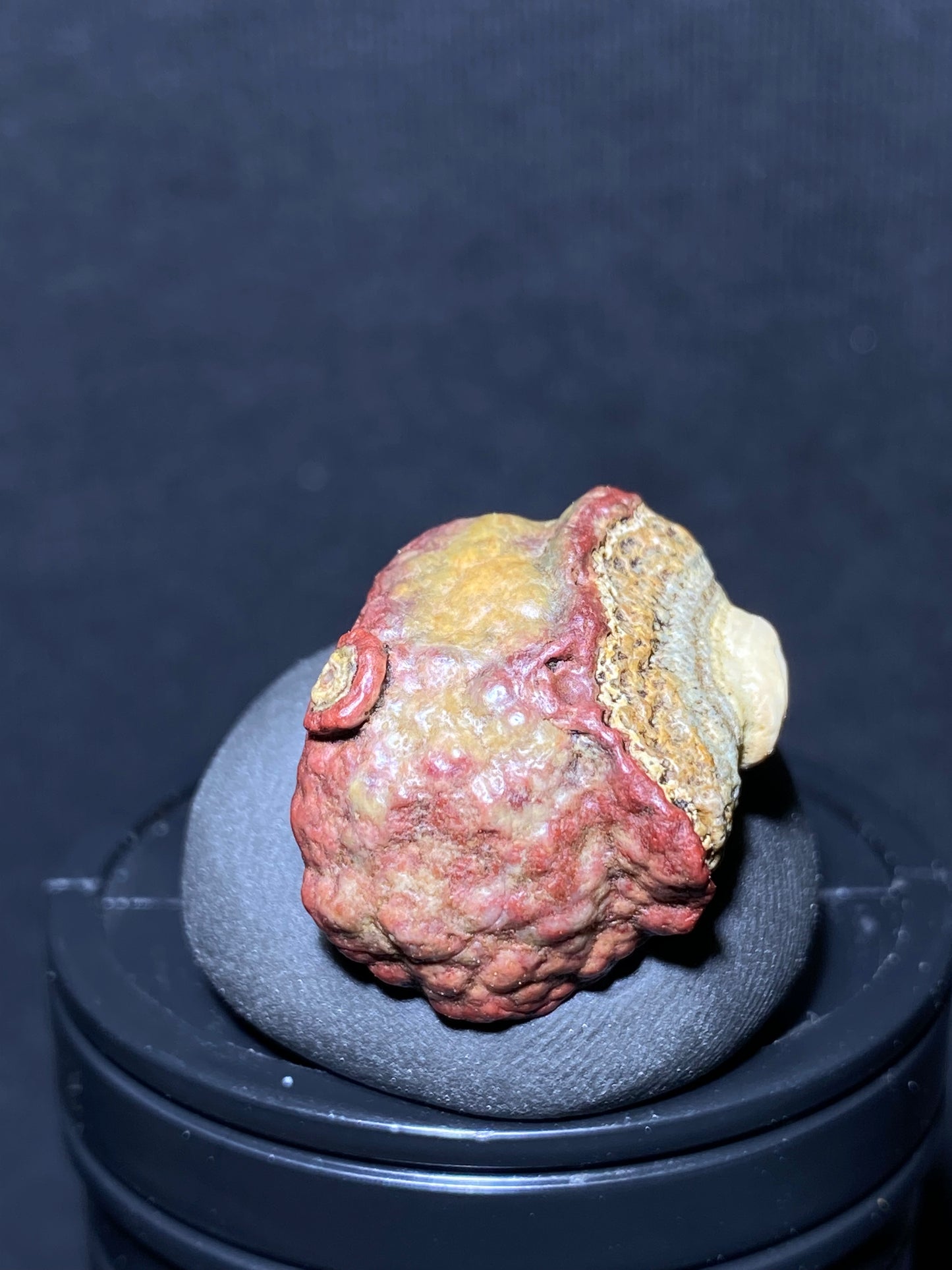 (1089)Alxa Gobi Desert red eye Agate, rough nature stone,Natural Color Raw Stone from Inner Mongolia.