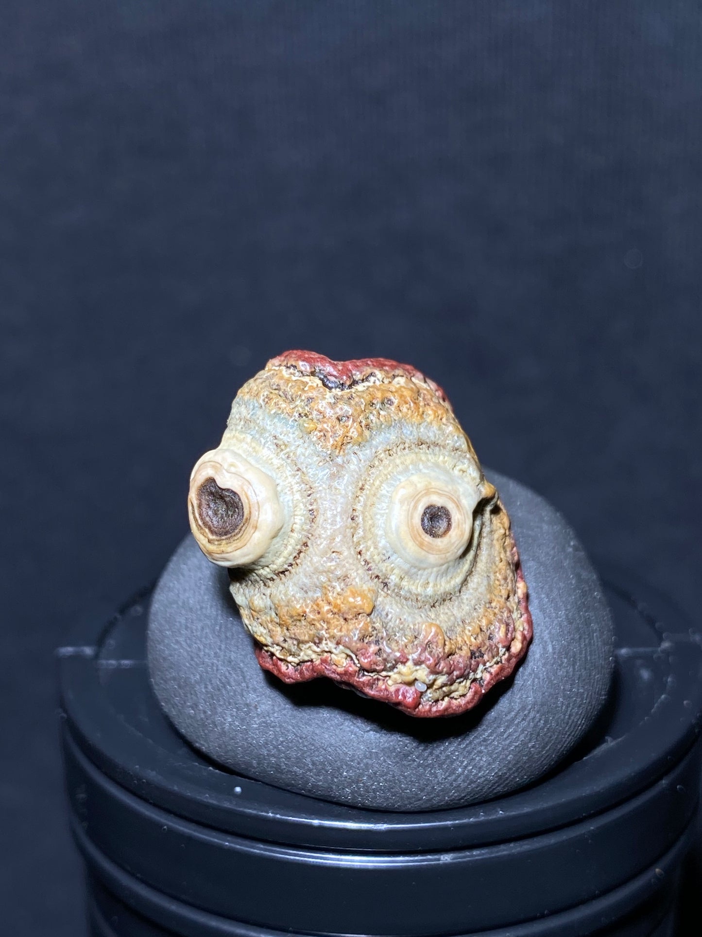 (1089)Alxa Gobi Desert red eye Agate, rough nature stone,Natural Color Raw Stone from Inner Mongolia.