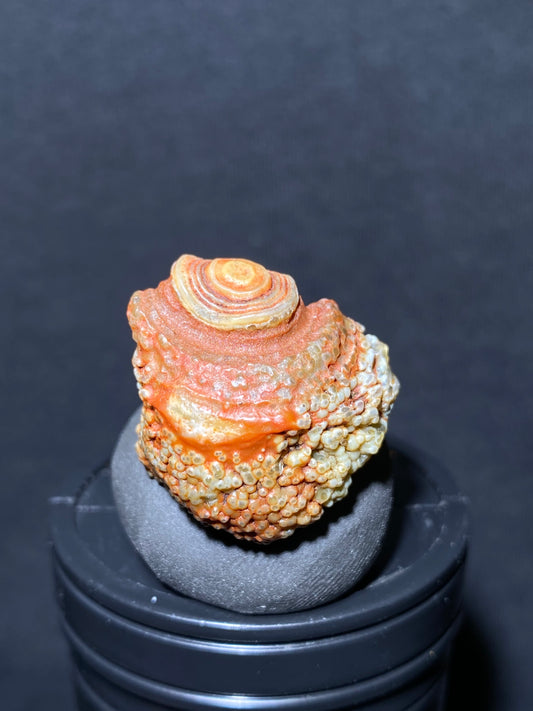 (1090)Alxa Gobi Desert eye Agate, rough nature stone,Natural Color Raw Stone from Inner Mongolia.