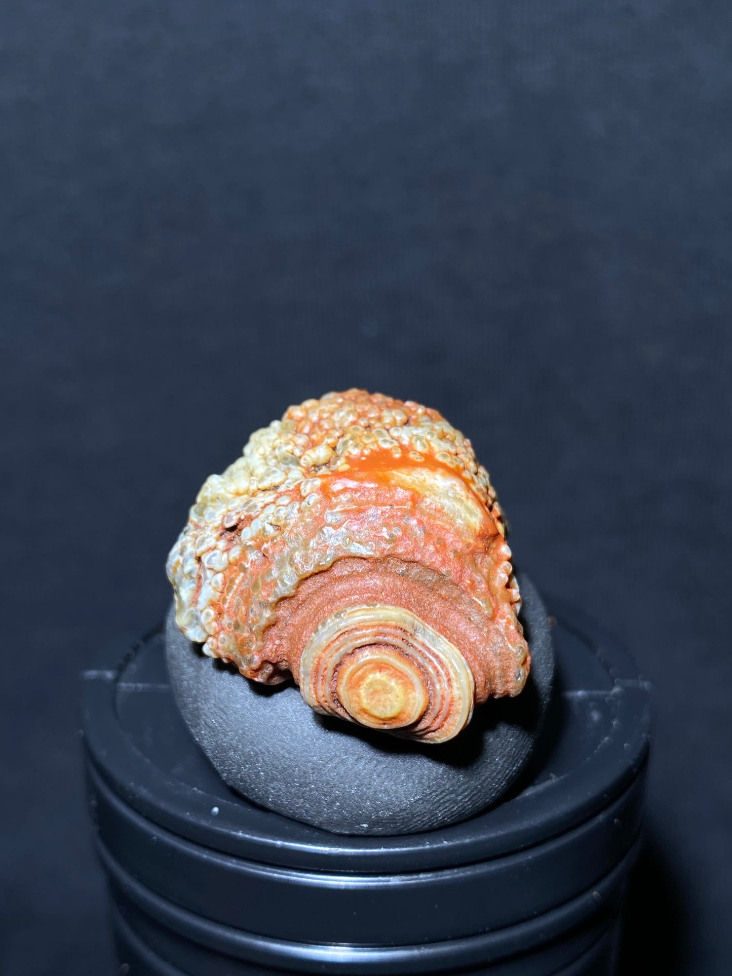 (1090)Alxa Gobi Desert eye Agate, rough nature stone,Natural Color Raw Stone from Inner Mongolia.