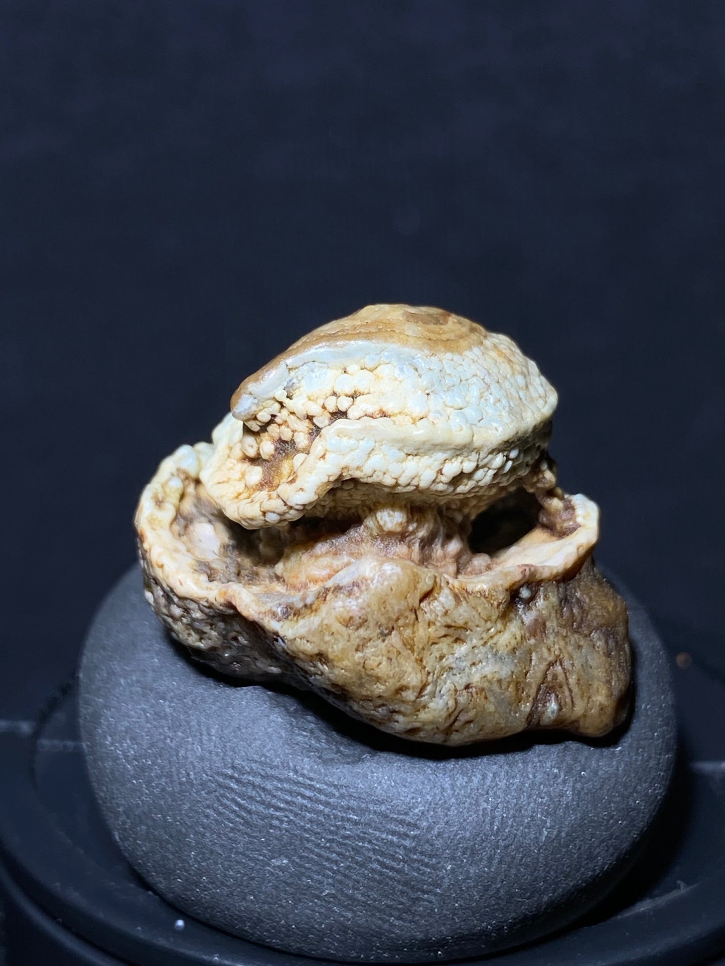 (1091)Alxa Gobi Desert eye Agate, rough nature stone,Natural Color Raw Stone from Inner Mongolia.