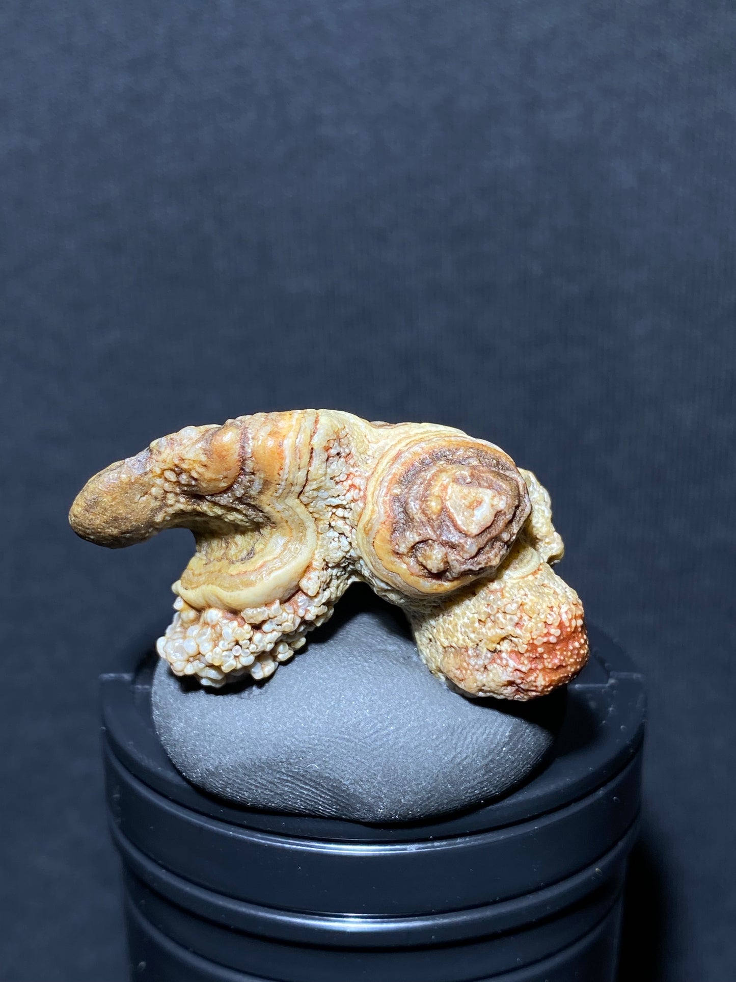 (1092)Alxa Gobi Desert eye Agate, Animal-like rough nature stone,Natural Color Raw Stone from Inner Mongolia.