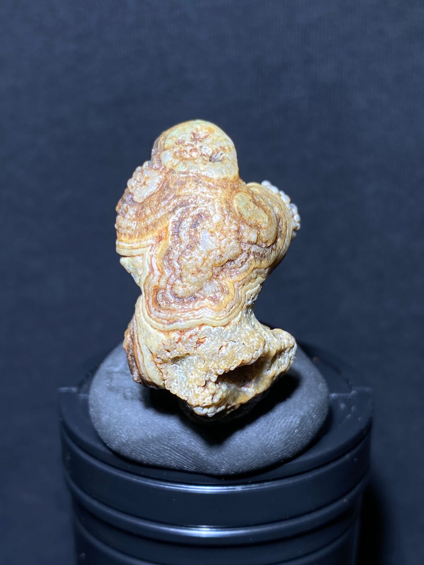 (1092)Alxa Gobi Desert eye Agate, Animal-like rough nature stone,Natural Color Raw Stone from Inner Mongolia.