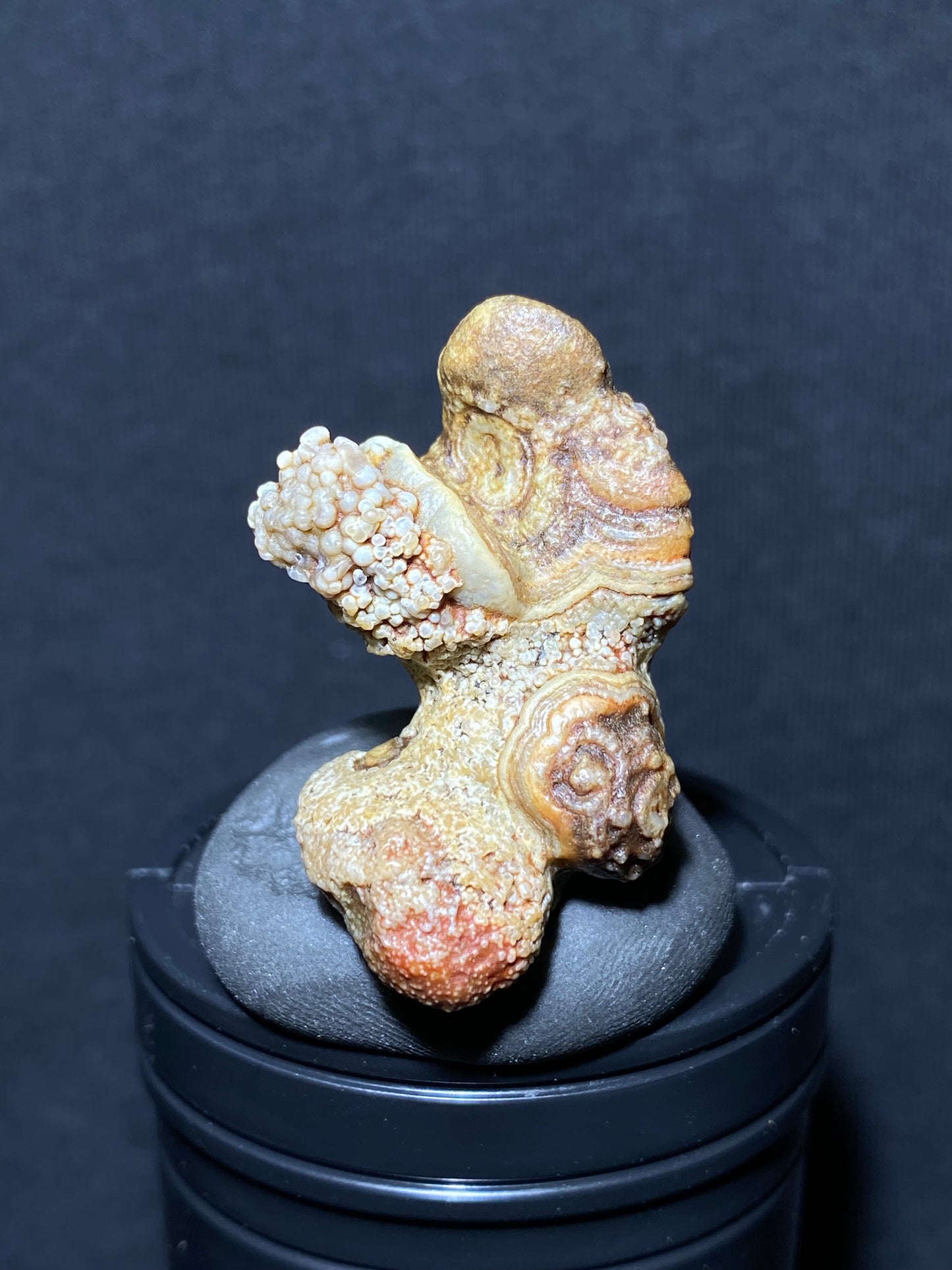 (1092)Alxa Gobi Desert eye Agate, Animal-like rough nature stone,Natural Color Raw Stone from Inner Mongolia.