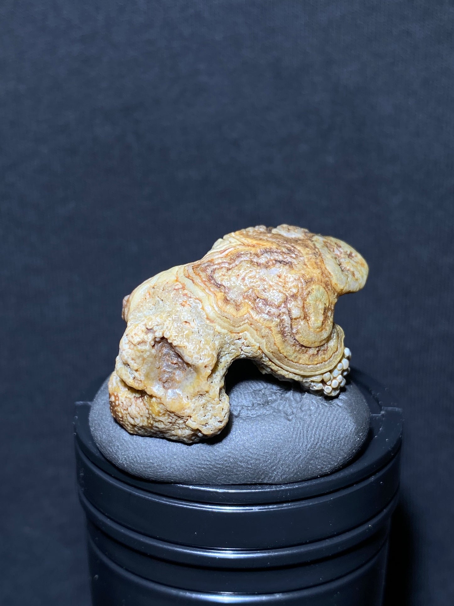 (1092)Alxa Gobi Desert eye Agate, Animal-like rough nature stone,Natural Color Raw Stone from Inner Mongolia.