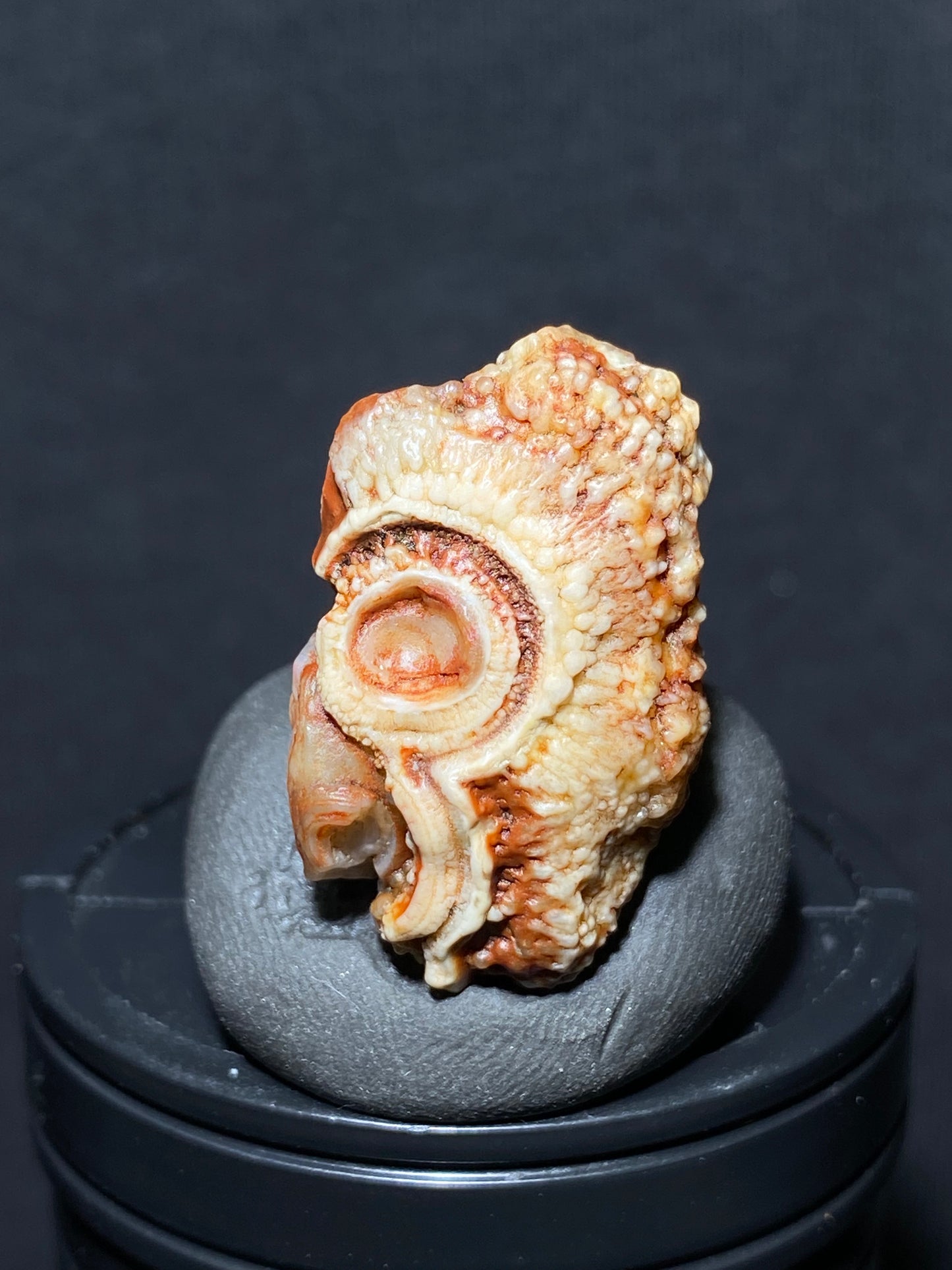 (1094)Alxa Gobi Desert red eye Agate, rough nature stone,Natural Color Raw Stone from Inner Mongolia.