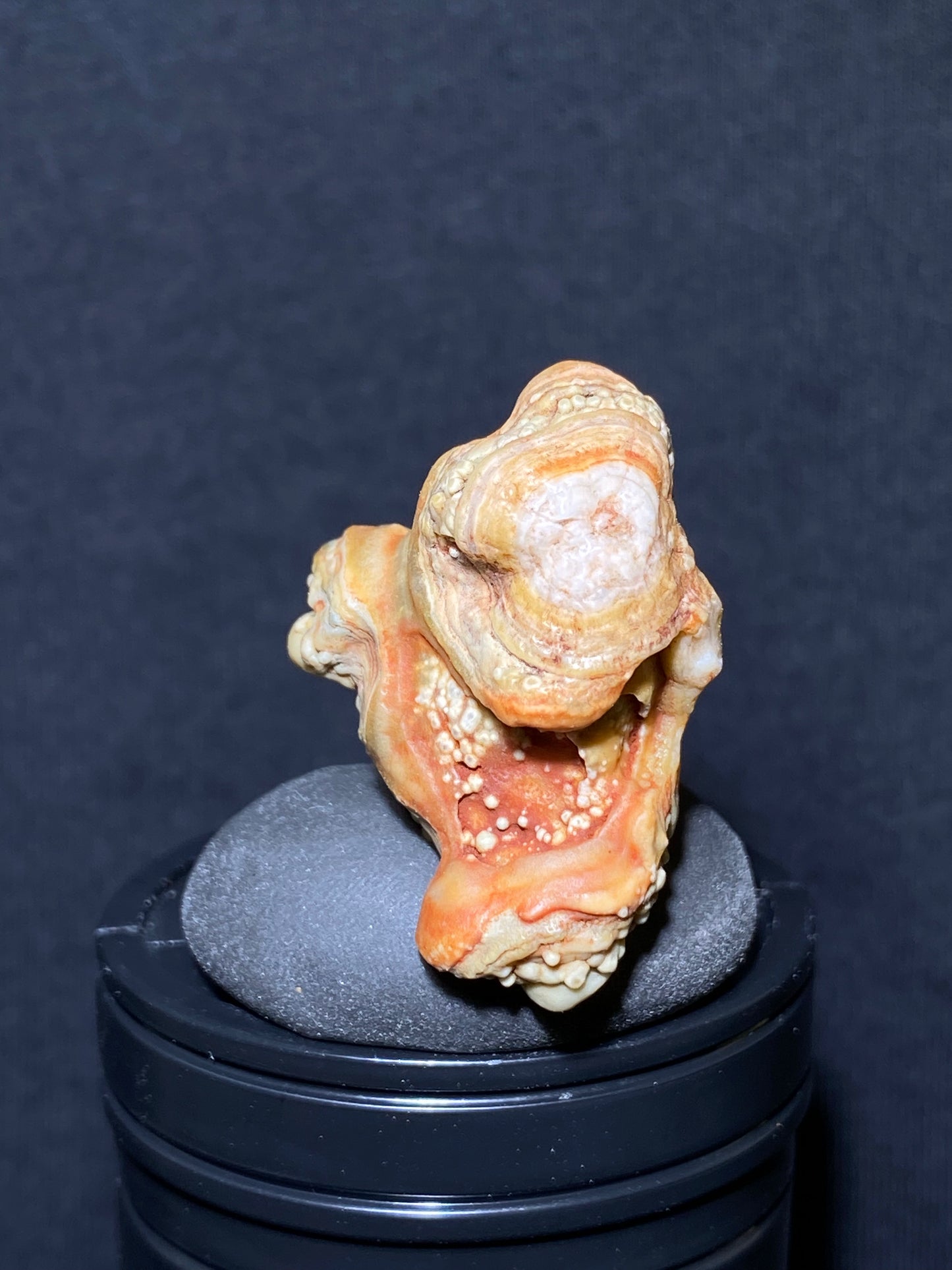 (1099)Alxa Gobi Desert red eye Agate, rough nature stone,Natural Color Raw Stone from Inner Mongolia.