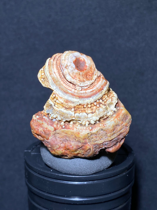 (1101)Alxa Gobi Desert red eye Agate, rough nature stone,Natural Color Raw Stone from Inner Mongolia.