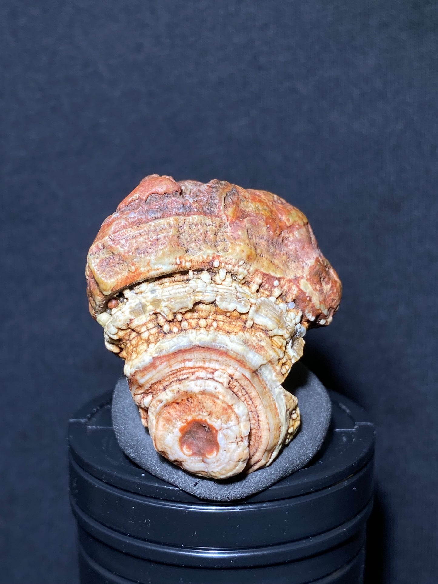 (1101)Alxa Gobi Desert red eye Agate, rough nature stone,Natural Color Raw Stone from Inner Mongolia.