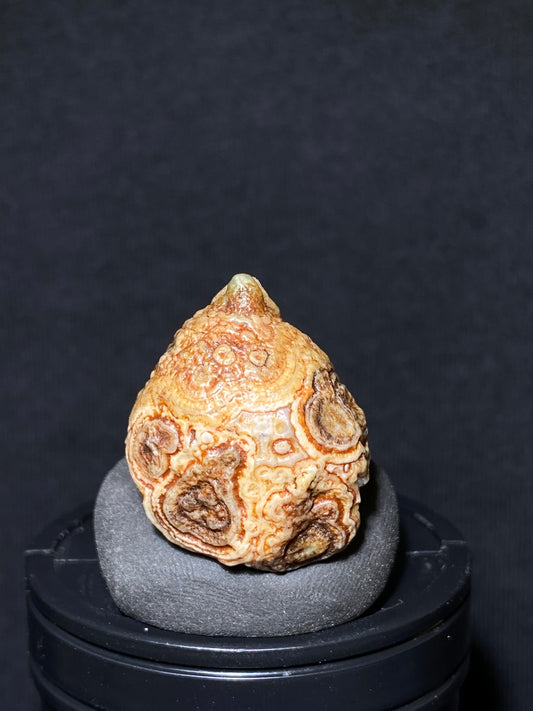 (1103)Alxa Gobi Desert red eye Agate, rough nature stone,Natural Color Raw Stone from Inner Mongolia.