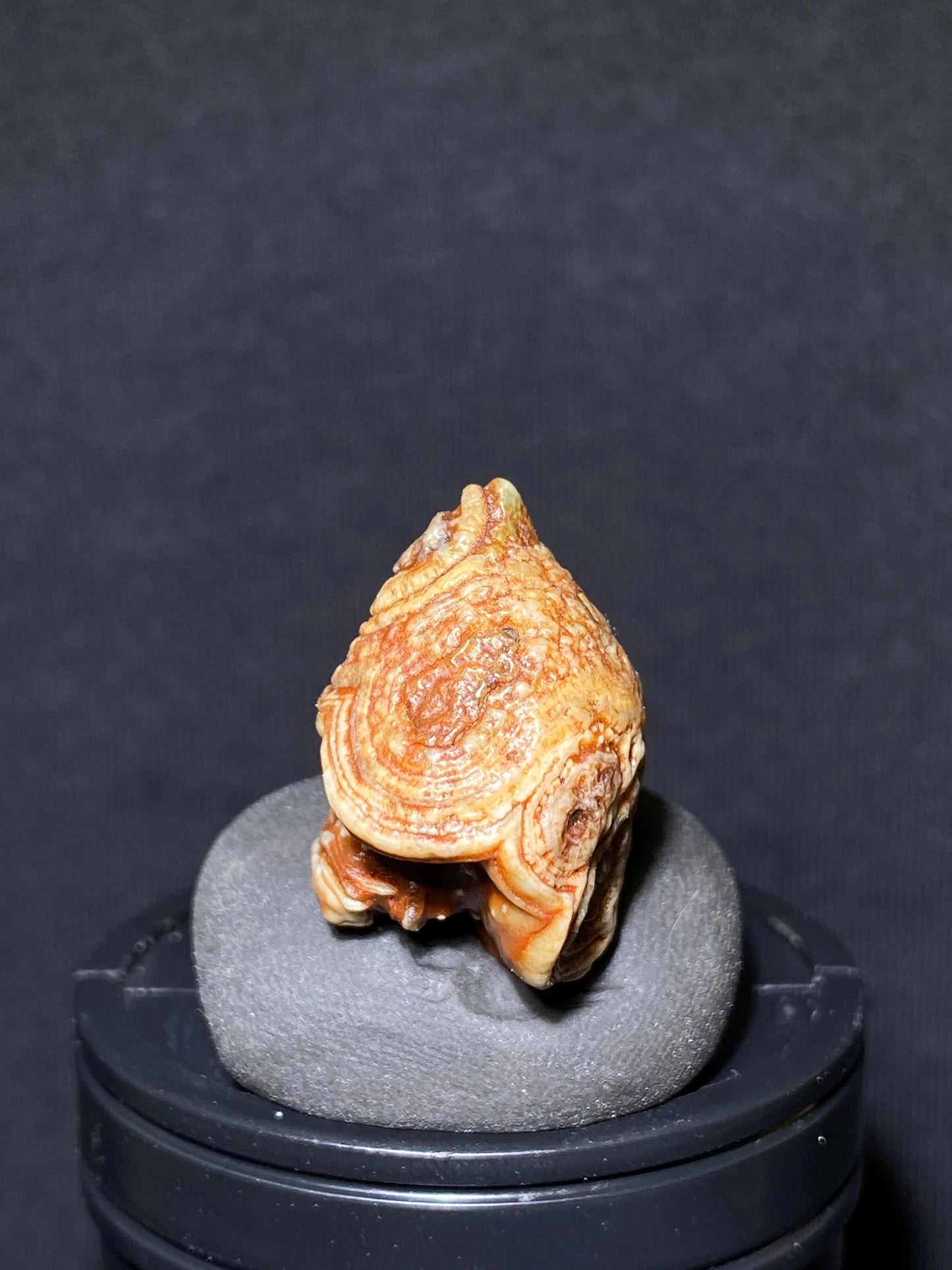 (1103)Alxa Gobi Desert red eye Agate, rough nature stone,Natural Color Raw Stone from Inner Mongolia.