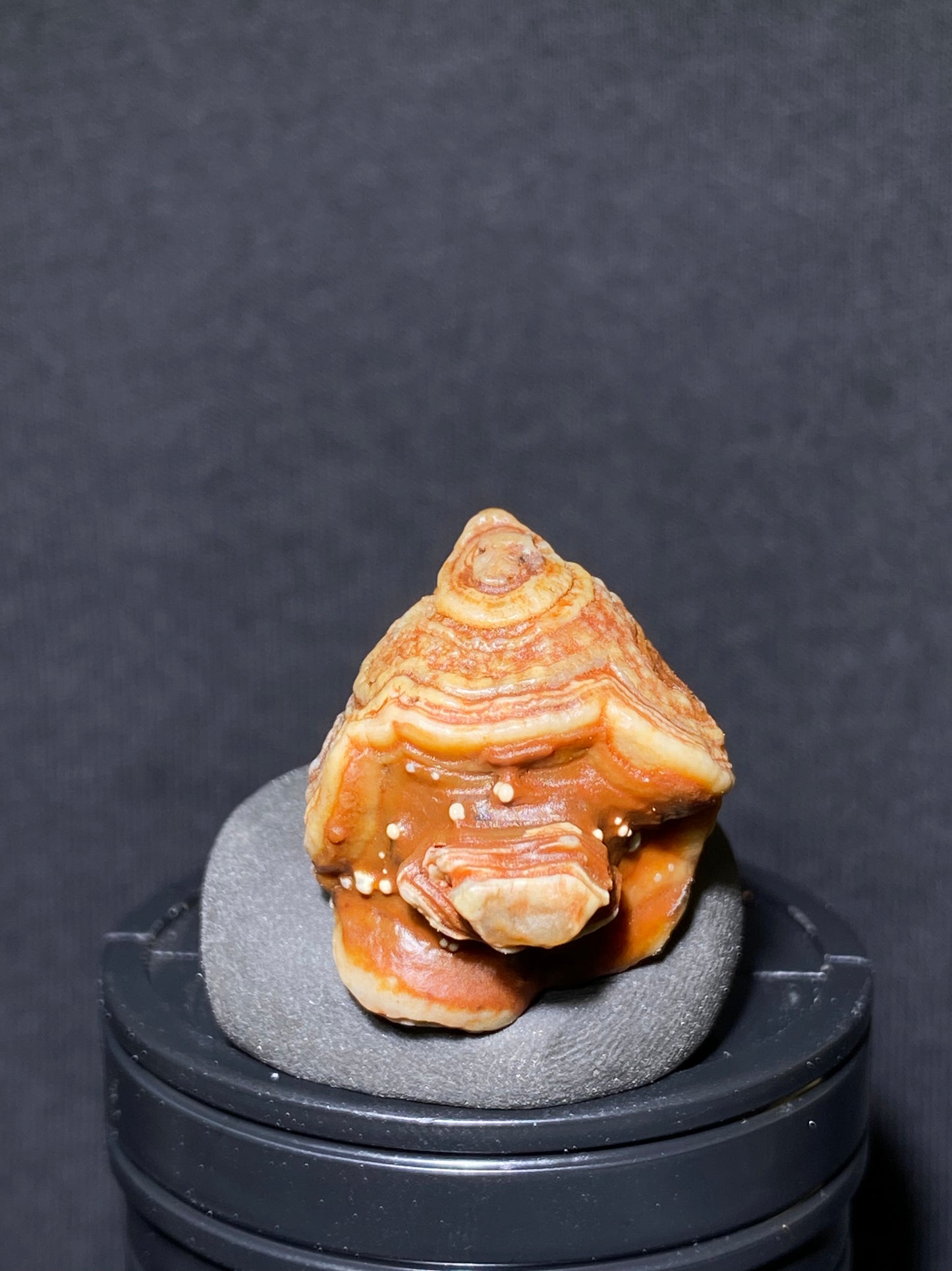 (1103)Alxa Gobi Desert red eye Agate, rough nature stone,Natural Color Raw Stone from Inner Mongolia.