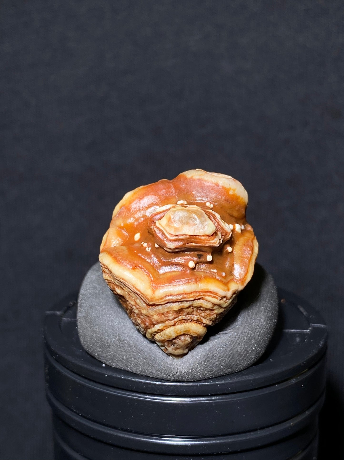 (1103)Alxa Gobi Desert red eye Agate, rough nature stone,Natural Color Raw Stone from Inner Mongolia.